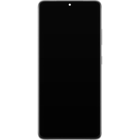 Touchscreen Display Samsung Galaxy S21 Ultra 5G G998, with Frame, Silver, Service Pack GH82-26035B