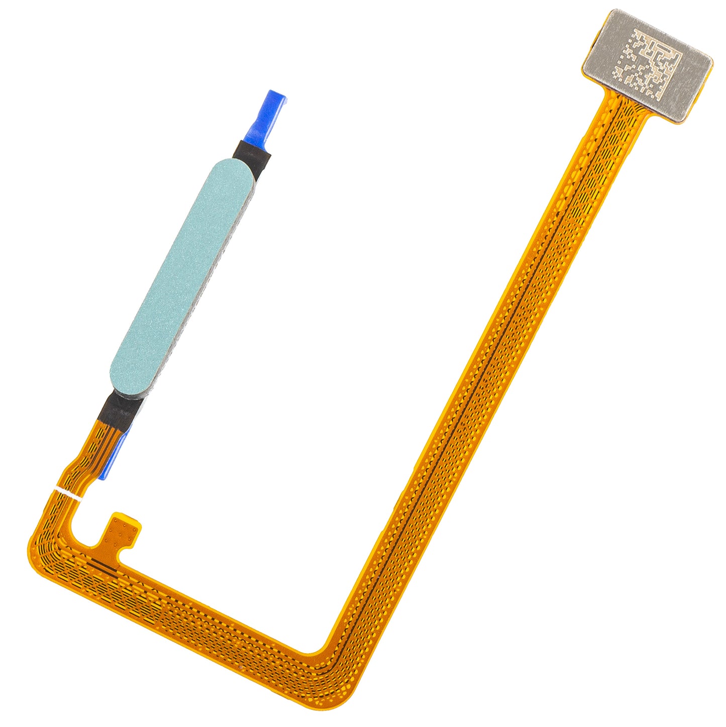Sensor de Impressão Digital Honor X5c Plus, com faixa, Turquesa (Cyan Lake), Service Pack 9707ACFG