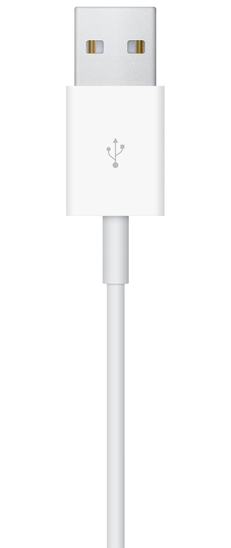 Carregador Wireless para Apple Watch Series, 1m MW6A3ZM/A