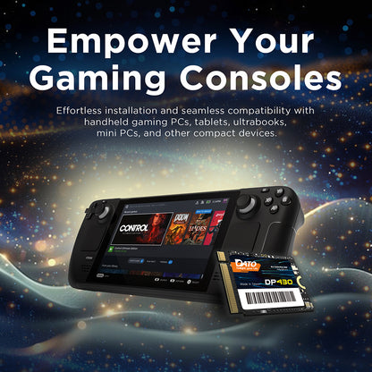 Solid State Drive (SSD) Dato DP430, NVME M.2 2230, PCIE Gen4x4, 1TB, Black DP430SSD-1TB