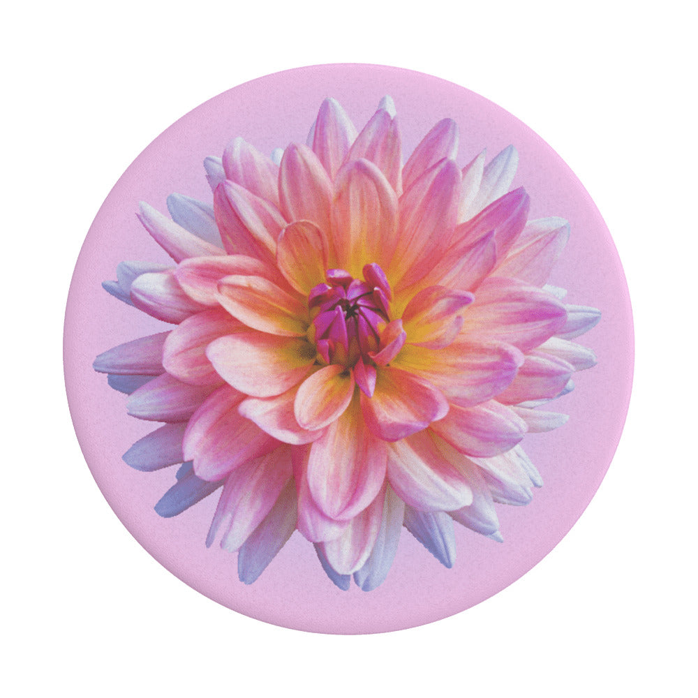 Suporte PopGrip Popsockets Dahlia Icon, Multicolor